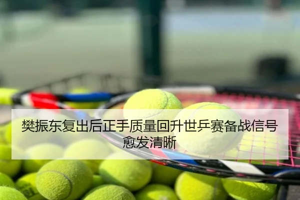 樊振东复出后正手质量回升世乒赛备战信号愈发清晰