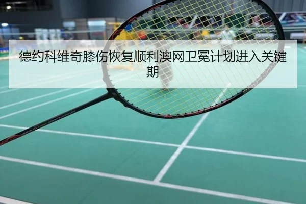 德约科维奇膝伤恢复顺利澳网卫冕计划进入关键期